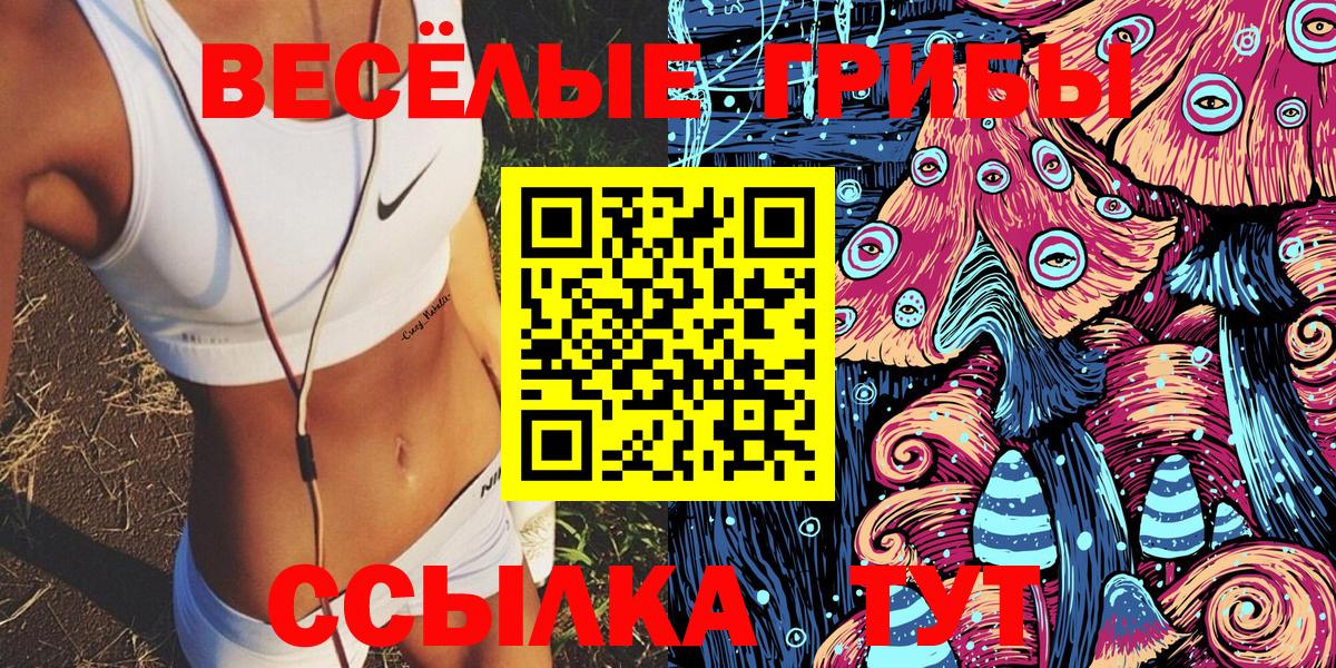 Галлюциногенные грибы Cubensis Канск